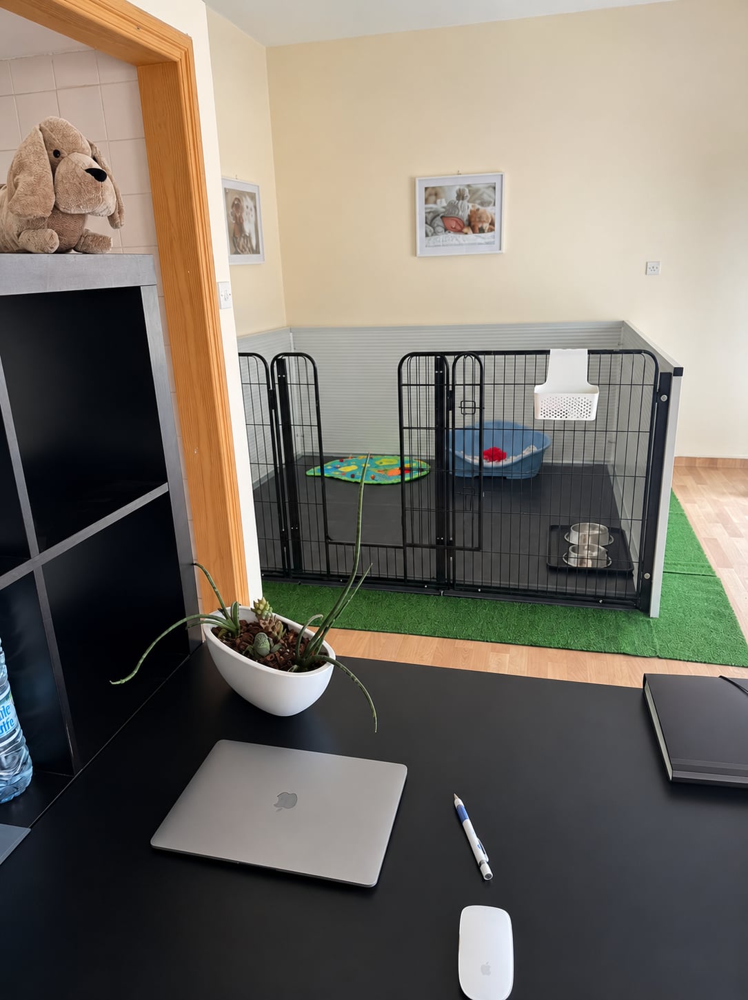 Our office