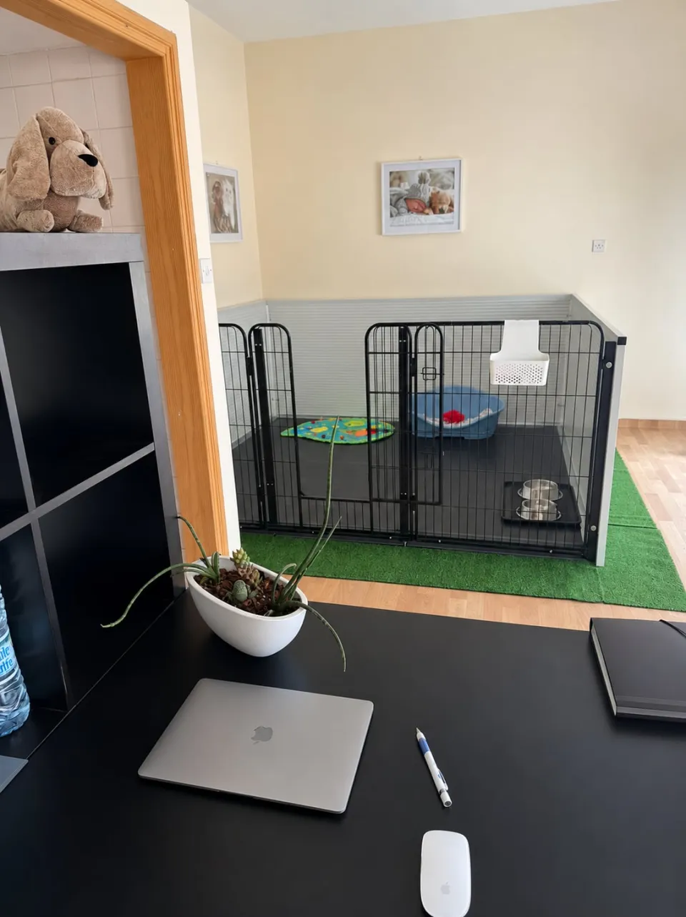 Our office